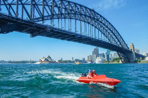 Sydney Speed Boat Adventure Harbour Tour - Dalby Accommodation 5