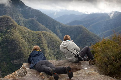 Inside The Greater Blue Mountains World Heritage - A Private Wildlife Safari Overnight - Dalby Accommodation 0