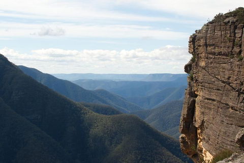 Inside The Greater Blue Mountains World Heritage - A Private Wildlife Safari Overnight - Dalby Accommodation 4