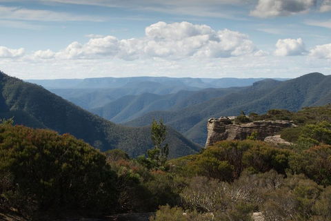 Inside The Greater Blue Mountains World Heritage - A Private Wildlife Safari Overnight - Dalby Accommodation 5