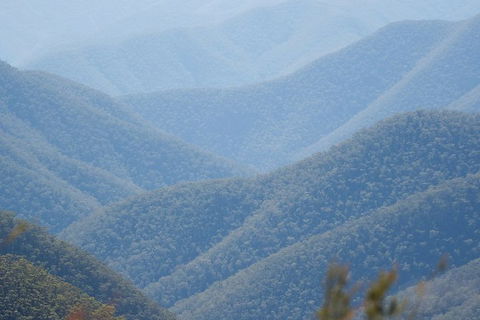 From The Mountains To The Bay - 4 Day Rediscovery Private Tour - Dalby Accommodation 1