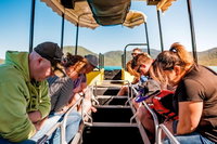 Book Viator Accommodation Vacations Dalby Accommodation Dalby Accommodation