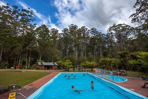 Tahune Airwalk Active Day Trip From Hobart Including Hastings Caves - Dalby Accommodation 0