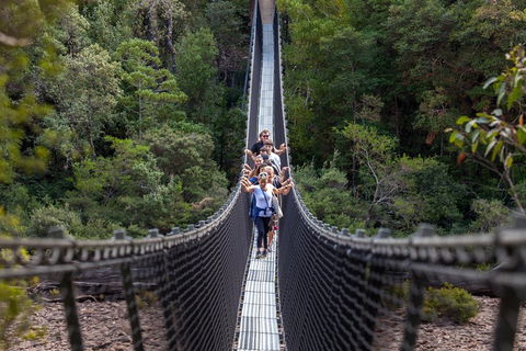Tahune Airwalk Active Day Trip From Hobart Including Hastings Caves - Dalby Accommodation 3