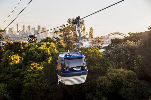 Australia Multi-City Attractions Pass - Dalby Accommodation 5