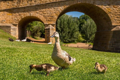 Richmond Historic Afternoon Tour From Hobart - Dalby Accommodation 1