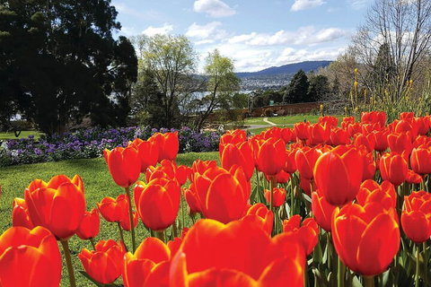 Hobart Half-Day Sightseeing Coach Tram Tour - Dalby Accommodation 4