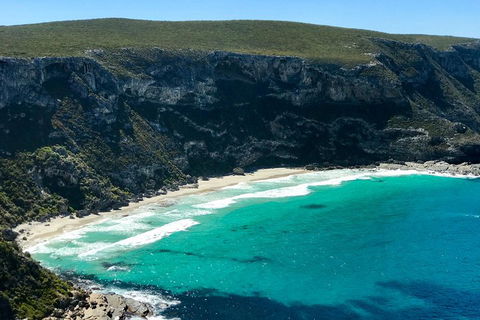 Kangaroo Island Scenic Trail Tour - Dalby Accommodation 4