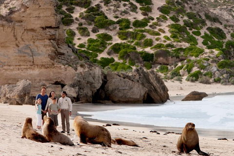 Kangaroo Island Scenic Trail Tour - Dalby Accommodation 5