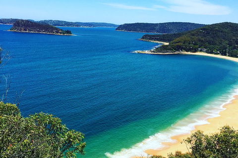 Central Coast Private Tour From Sydney, With Australian Reptile Park Option - Dalby Accommodation 5
