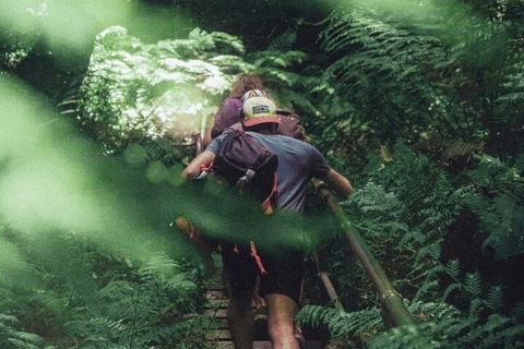 Private Day Trip At The Blue Mountains - Dalby Accommodation 3