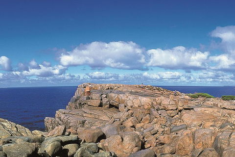 4 Day Tour: Albany, Margaret River, Valley Of The Giants TreeTop Walk From Perth - Dalby Accommodation 0