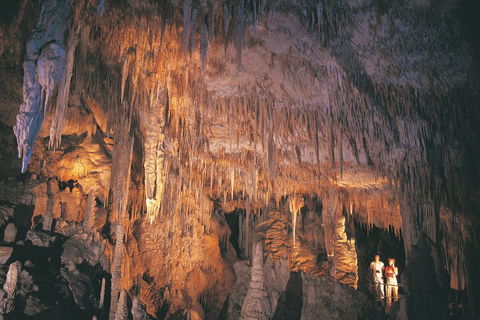 4 Day Tour: Albany, Margaret River, Valley Of The Giants TreeTop Walk From Perth - Dalby Accommodation 1