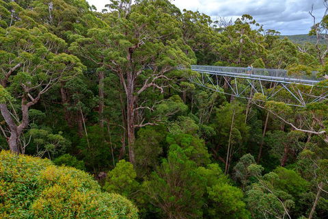 4 Day Tour: Albany, Margaret River, Valley Of The Giants TreeTop Walk From Perth - Dalby Accommodation 4
