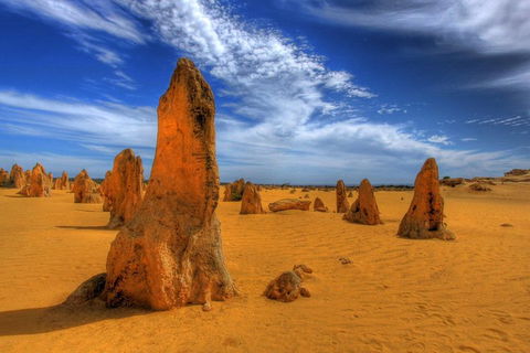 Pinnacles Desert & New Norcia Day Tour From Perth - Dalby Accommodation 0