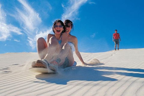 Full Day Pinnacle Desert Explorer From Perth Including Hillarys And Lancelin Sandboarding - Dalby Accommodation 1