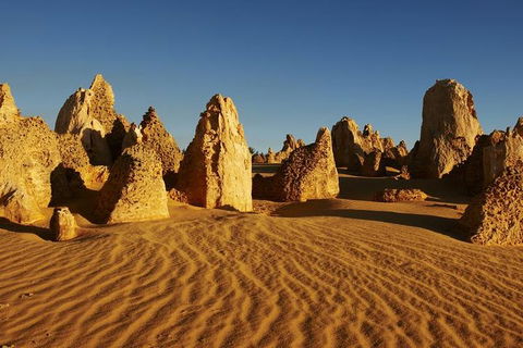 Full Day Pinnacle Desert Explorer From Perth Including Hillarys And Lancelin Sandboarding - Dalby Accommodation 3