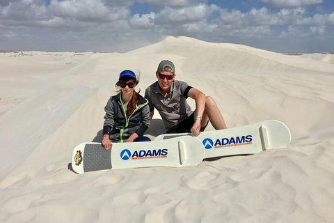 Full Day Pinnacle Desert Explorer From Perth Including Hillarys And Lancelin Sandboarding - Dalby Accommodation 4