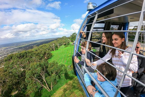 Peninsula Hot Springs Tour With Restaurant Lunch & Gondola Ride - Dalby Accommodation 0
