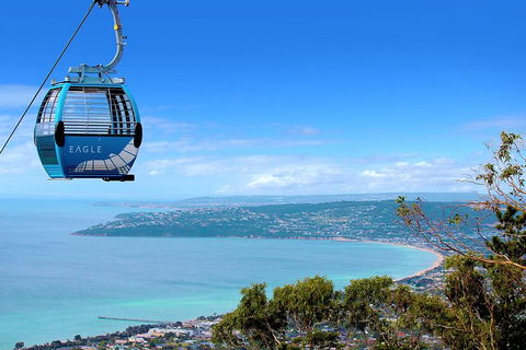 Peninsula Hot Springs Tour With Restaurant Lunch & Gondola Ride - Dalby Accommodation 1