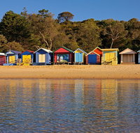 Mornington Peninsula Small Group day tour - Dalby Accommodation