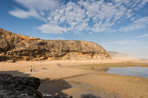 Mornington Peninsula Small Group Day Tour - Dalby Accommodation 5