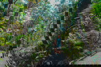 Full Day Cooktown Private Tour, Cape Tribulation