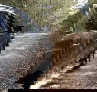 4x4 Off-Road Tour - Dalby Accommodation
