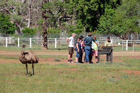Yura Udnyu - Our Culture, Your Culture (Aboriginal Cultural Walk) - Dalby Accommodation 1