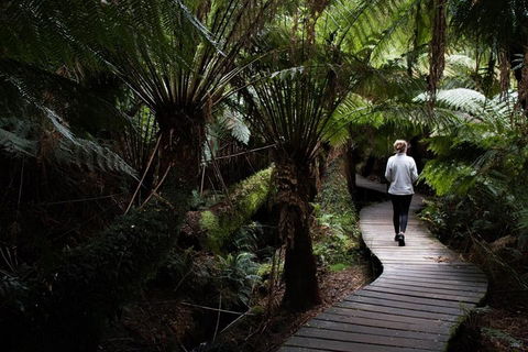 Private Tour Of Melbourne - Dalby Accommodation 2