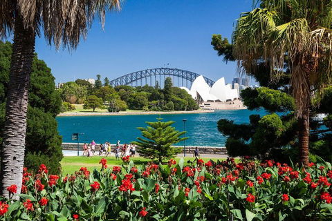 Sydney Luxury Private Shore Excursion | 6 Hr Tour | Departs From Cruise Terminal - Dalby Accommodation 5