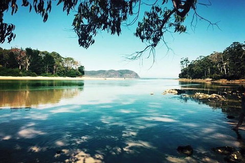 Full-Day Guided Bruny Island Tour From Hobart - Dalby Accommodation 1