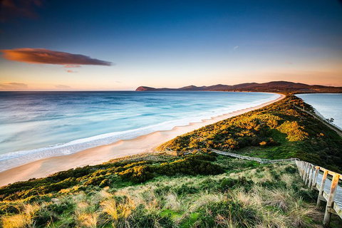 Full-Day Guided Bruny Island Tour From Hobart - Dalby Accommodation 2