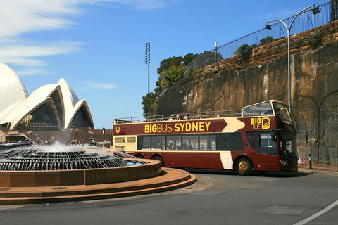 Big Bus Sydney And Bondi Hop-on Hop-off Tour - Dalby Accommodation 3