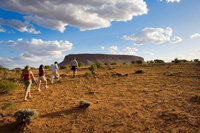 Mount Conner 4WD Small Group Tour from Ayers Rock including Dinner, Uluru