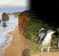 Melbourne Super Saver Great Ocean Road  Phillip Island  Attraction Pass - Dalby Accommodation