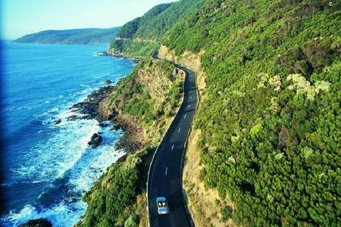 Melbourne Super Saver: Great Ocean Road + Mornington Peninsula + Attraction Pass - Dalby Accommodation 0