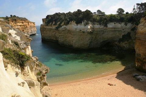 Melbourne Super Saver: Great Ocean Road + Mornington Peninsula + Attraction Pass - Dalby Accommodation 3