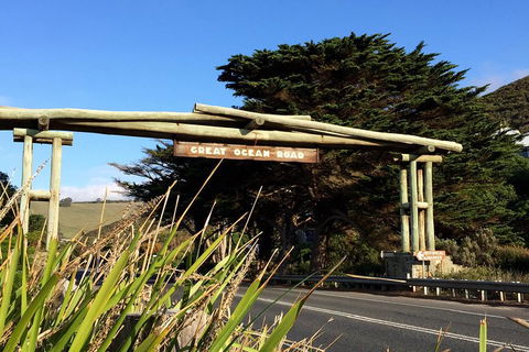 Melbourne Super Saver: Great Ocean Road + Wilsons Promontory + Attraction Pass - Dalby Accommodation 1