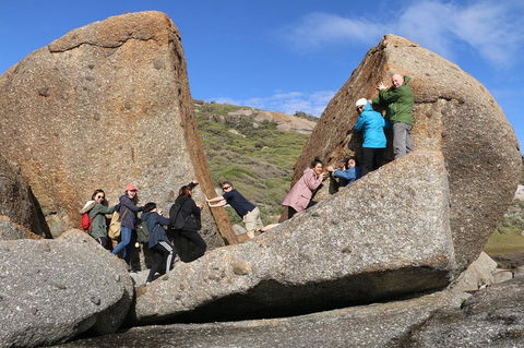 Melbourne Super Saver: Great Ocean Road + Wilsons Promontory + Attraction Pass - Dalby Accommodation 4