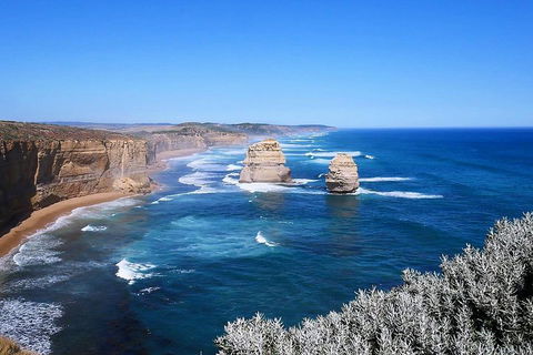 Melbourne Super Saver: Great Ocean Road + Wilsons Promontory + Attraction Pass - Dalby Accommodation 5