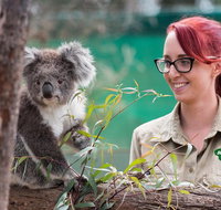 Small-Group Phillip Island Penguin Parade Day Tour from Melbourne - Dalby Accommodation