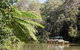 Best Of Kuranda Including Skyrail, Kuranda Scenic Railway And Rainforestation - thumb 5
