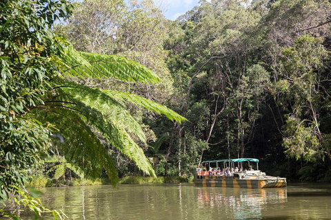 Best Of Kuranda Including Skyrail, Kuranda Scenic Railway And Rainforestation - Dalby Accommodation 5