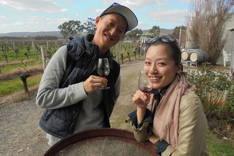 Swan Valley River Cruise And Wine Tasting Day Trip From Perth - Dalby Accommodation 0