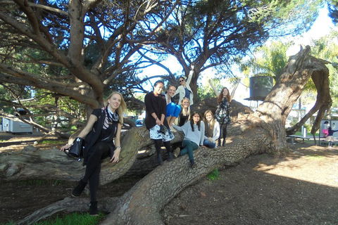 1/2 Day Swan Valley Wine Cheese & Chocolate Tour Inc Afternoon Cruise To Perth - Dalby Accommodation 0