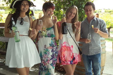 1/2 Day Swan Valley Wine Cheese & Chocolate Tour Inc Afternoon Cruise To Perth - Dalby Accommodation 4