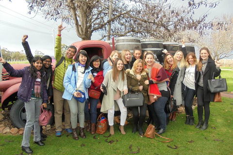 1/2 Day Swan Valley Wine Cheese & Chocolate Tour Inc Afternoon Cruise To Perth - Dalby Accommodation 5