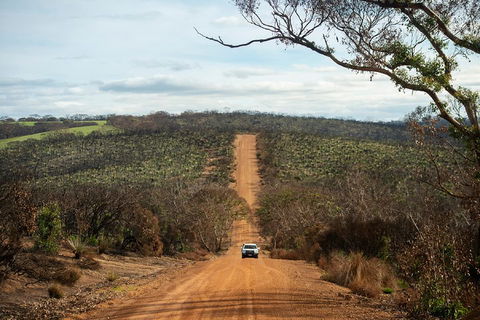 NEW TOUR - Kangaroo Island Road To Recovery Tour (1 Day/1 Night) - Dalby Accommodation 2