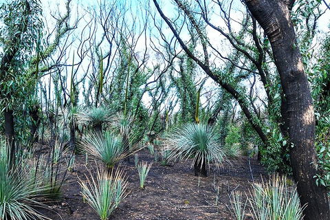 NEW TOUR - Kangaroo Island Road To Recovery Tour (1 Day/1 Night) - Dalby Accommodation 3